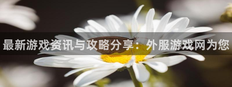 高德娱乐登录网址：最新游戏资讯与攻略分享：外服游戏网为您