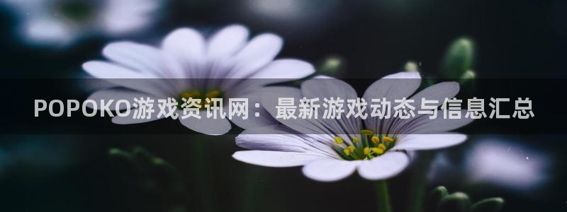 高德娱乐网址注册：POPOKO游戏资讯网：最新游戏动态与信息