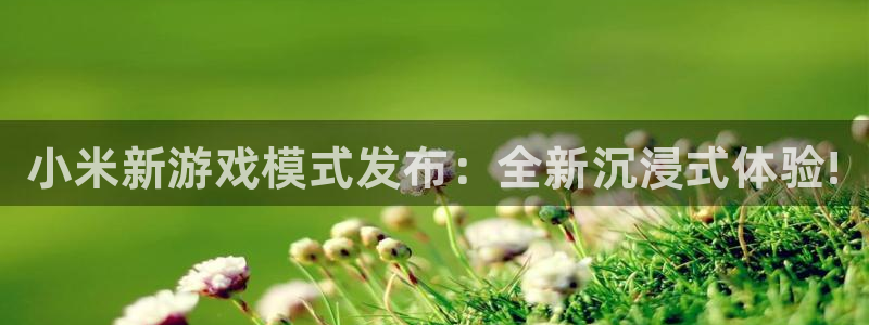 高德娱乐平台负责人：小米新游戏模式发布：全新沉浸式体验!