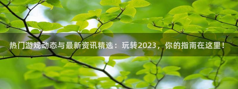 高德娱乐网页登录入口官网：热门游戏动态与最新资讯精选：玩转2