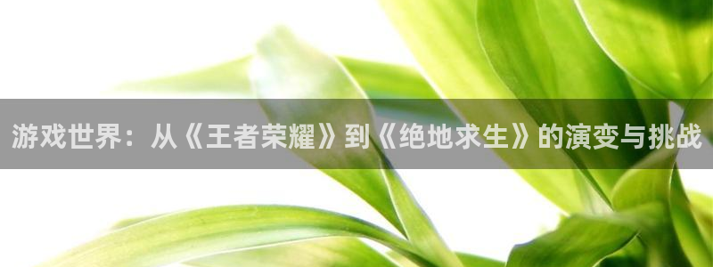 高德娱乐平台官网入口：游戏世界：从《王者荣耀》到《绝地求生》