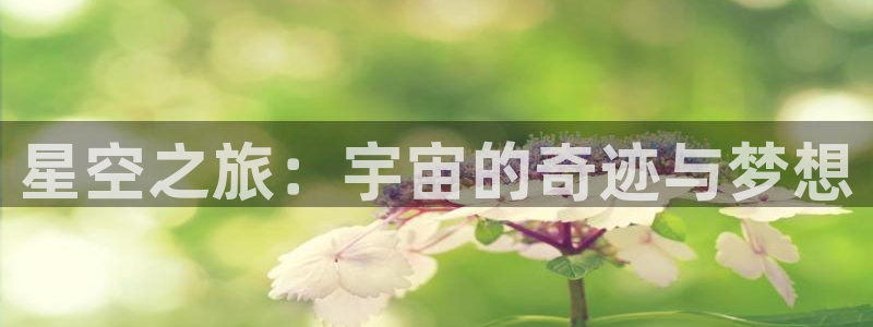 高德娱乐登陆测速：星空之旅：宇宙的奇迹与梦想