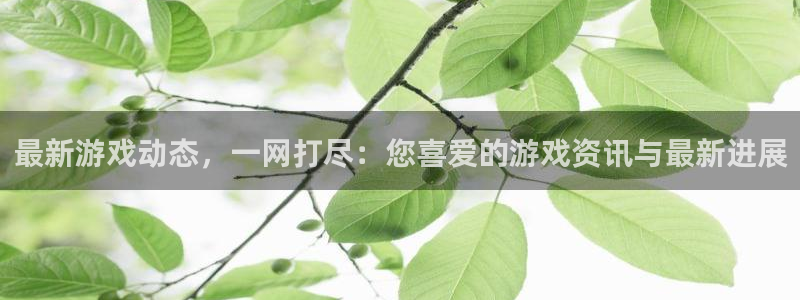 高德娱乐线路测试：最新游戏动态，一网打尽：您喜爱的游戏资讯与