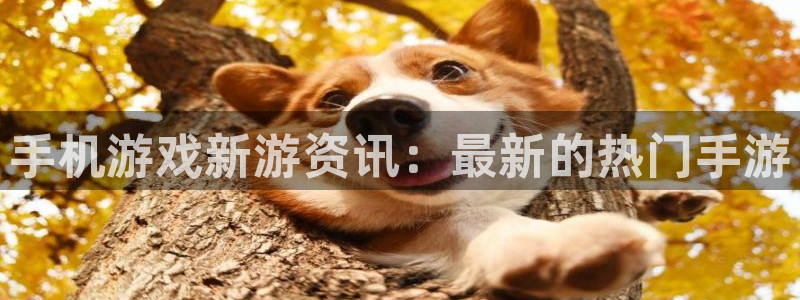 高德娱乐Ii：手机游戏新游资讯：最新的热门手游